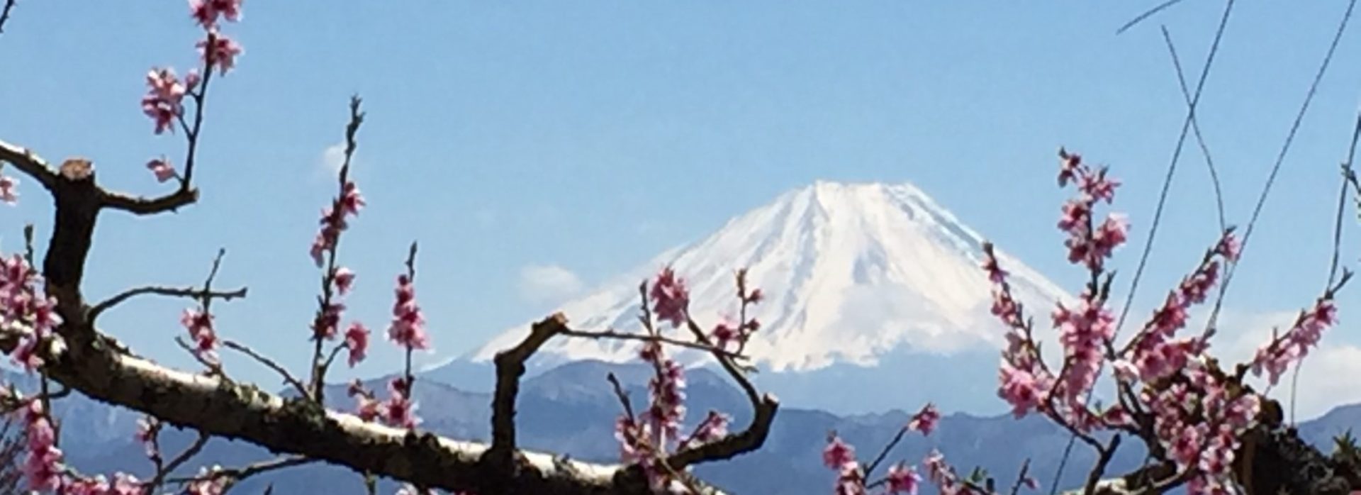 やまなし農業女子