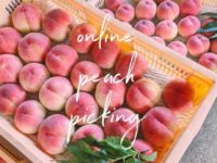 Online Peach Picking!! Amazing!New experience!